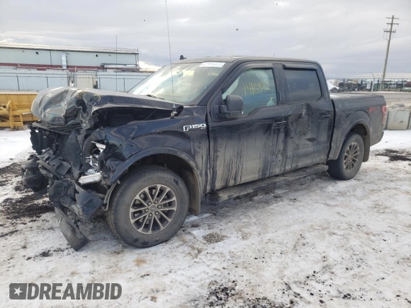 2019 Ford F-150 XL with VIN 1FTEW1EP9KKD61251, listed as a Copart auction lot 81344233 with 141,639 mi miles and Salvage title. Bid and sale history available at DreamBid. Image 1.