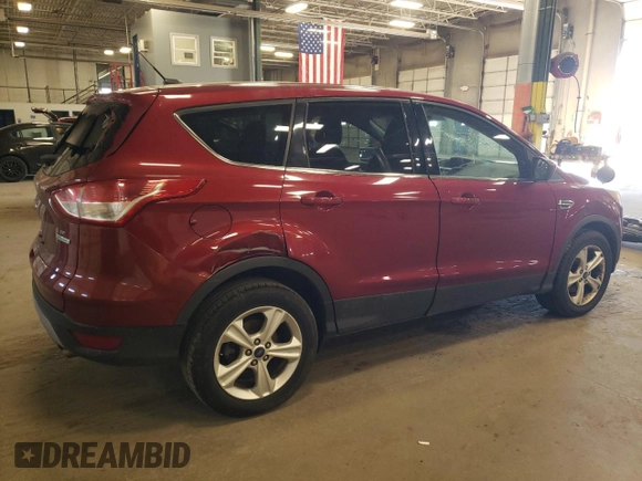 2016 Ford Escape SE with VIN 1FMCU0GX1GUA70710, listed as a Copart auction lot 52299925 with 205,760 mi miles and Salvage Title. Bid and sale history available at carsss.com. Image 3.