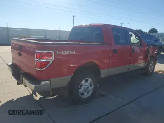 2009 Ford F-150 XL with VIN 1FTPW14V59FA85775, listed as a Copart auction lot 79256014 with 0 mi miles and Non Repairable. Bid and sale history available at carsss.com. Image 3.