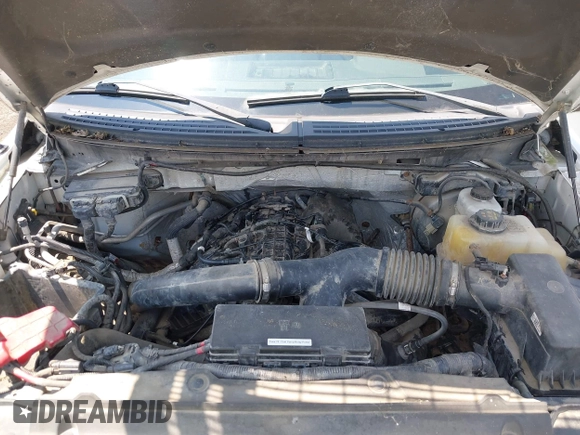2013 Ford F-150 XL with VIN 1FTFX1ET2DKF11671, listed as a IAAI auction lot 42634877 with 132,000 mi miles and . Bid and sale history available at DreamBid. Image 10.