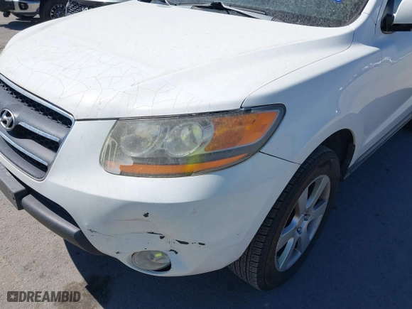 2008 Hyundai Santa Fe SE with VIN 5NMSH13E48H194784, listed as a IAAI auction lot 41824245 with 199,238 mi miles. Bid and sale history available at carsss.com. Image 12.
