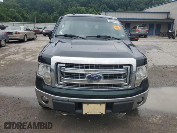 2013 Ford F-150 XL with VIN 1FTFX1EF6DFA66130, listed as a Copart auction lot 63207265 with 190,147 mi miles and Salvage title. Bid and sale history available at DreamBid. Image 5.