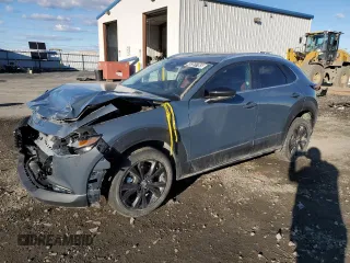 2024 Mazda CX-30 2.5 S Carbon Edition with VIN 3MVDMBCM4RM664987, listed as a Copart auction lot 48381765 with 19,684 mi miles and Non Repairable. Bid and sale history available at carsss.com. Image 1.
