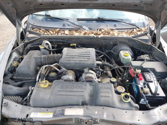 2002 Dodge Dakota SLT with VIN 1B7HG48NX2S623588, listed as a IAAI auction lot 41793068 with 213,159 mi miles. Bid and sale history available at carsss.com. Image 10.