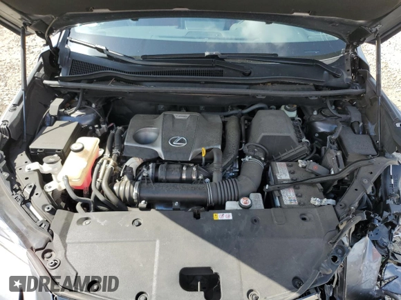 2021 Lexus NX 300 F Sport with VIN JTJSARBZ3M2200206, listed as a Copart auction lot 52511245 with 34,266 mi miles and Non repairable. Bid and sale history available at DreamBid. Image 13.
