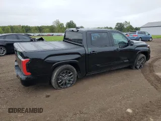 2022 Toyota Tundra Platinum with VIN 5TFNA5DB9NX028910, listed as a Copart auction lot 73638914 with 25,404 mi miles and Salvage title. Bid and sale history available at DreamBid. Image 3.