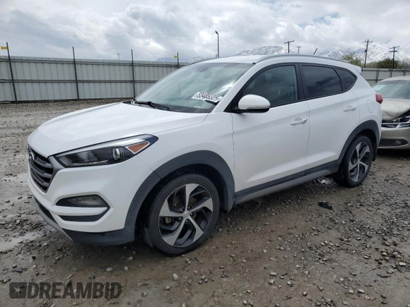 2017 Hyundai Tucson Value with VIN KM8J3CA24HU295715, listed as a Copart auction lot 53485325 with 100,351 mi miles and Clean Title. Bid and sale history available at carsss.com. Image 1.