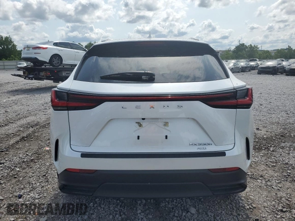 2022 Lexus NX with VIN JTJAKCEZ1N5000801, listed as a Copart auction lot 58025764 with 18,907 mi miles and Salvage Title. Bid and sale history available at carsss.com. Image 6.