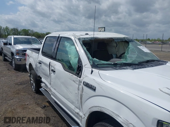 2017 Ford F-150 XL with VIN 1FTEW1EF0HKC79134, listed as a IAAI auction lot 41909992 with 241,488 mi miles and . Bid and sale history available at DreamBid. Image 6.