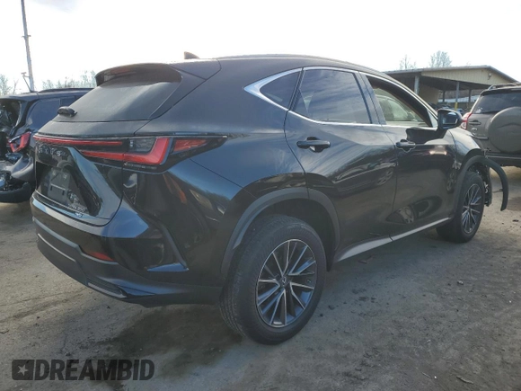 2022 Lexus NX with VIN 2T2AGCEZ7NC003608, listed as a Copart auction lot 80719474 with 48,854 mi miles and Salvage Title. Bid and sale history available at carsss.com. Image 3.