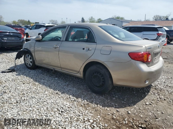 2010 Toyota Corolla with VIN 1NXBU4EEXAZ324233, listed as a Copart auction lot 53998685 with 0 mi miles and Salvage Title. Bid and sale history available at carsss.com. Image 2.