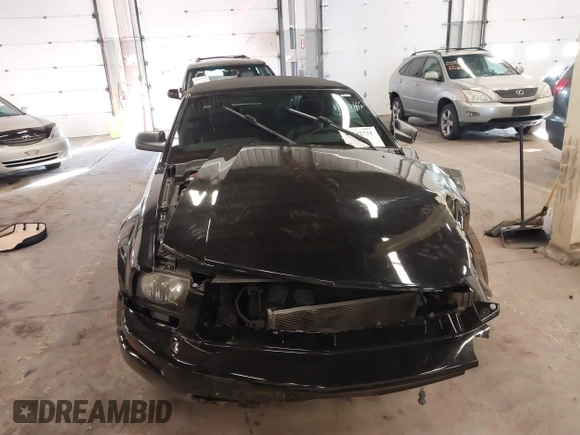 2008 Ford Mustang Deluxe with VIN 1ZVHT84N185144702, listed as a IAAI auction lot 41542731 with 114,156 mi miles and . Bid and sale history available at carsss.com. Image 12.