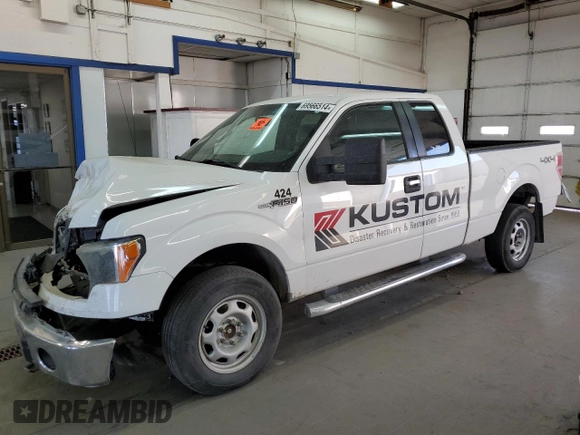 2012 Ford F-150 XL with VIN 1FTFX1EF1CFB86089, listed as a Copart auction lot 69566514 with 0 mi miles and Salvage Title. Bid and sale history available at carsss.com. Image 1.