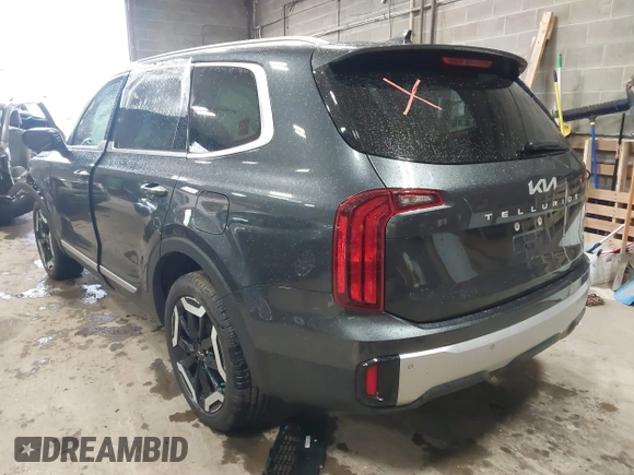 2024 Kia Telluride S with VIN 5XYP6DGC9RG481460, listed as a IAAI auction lot 42309411 with 14,182 mi miles and . Bid and sale history available at DreamBid. Image 3.