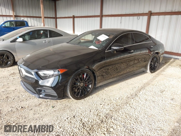 2019 Mercedes-Benz CLS with VIN WDD2J5KB3KA014592, listed as a IAAI auction lot 42074216 with 115,242 mi miles. Bid and sale history available at carsss.com. Image 17.