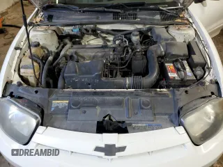 2005 Chevrolet Cavalier with VIN 1G1JC52F557144743, listed as a Copart auction lot 43777425 with 204,527 mi miles and Salvage Title. Bid and sale history available at DreamBid. Image 11.
