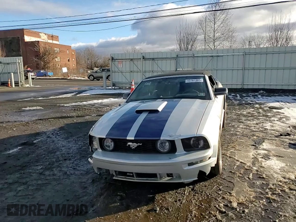 2006 Ford Mustang GT Deluxe with VIN 1ZVHT85H665218024, listed as a Copart auction lot 43781385 with 176,560 mi miles and Salvage Title. Bid and sale history available at carsss.com. Image 10.