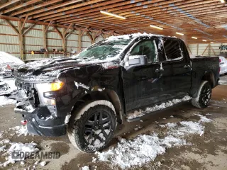 2022 Chevrolet Silverado 1500 Custom Trail Boss with VIN 3GCPDCEK0NG608635, listed as a Copart auction lot 81301514 with 46,289 mi miles and Salvage Title. Bid and sale history available at carsss.com. Image 1.
