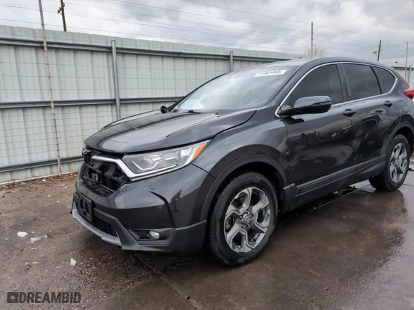 2019 Honda CR-V EX with VIN 5J6RW2H53KA014791, listed as a Copart auction lot 51961465 with 38,722 mi miles and Salvage Title. Bid and sale history available at carsss.com. Image 14.