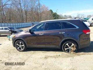 2016 Kia Sorento EX with VIN 5XYPH4A50GG043914, listed as a IAAI auction lot 41670153 with 113,121 mi miles. Bid and sale history available at carsss.com. Image 14.