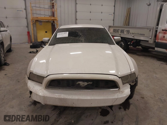 2013 Ford Mustang V6 with VIN 1ZVBP8AM0D5281131, listed as a IAAI auction lot 41447563 with 119,820 mi miles. Bid and sale history available at carsss.com. Image 12.