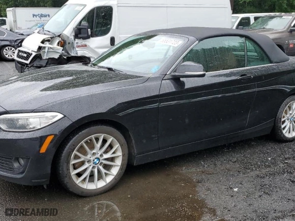 2015 BMW 2 Series 228i xDrive with VIN WBA1K7C53FV473009, listed as a Copart auction lot 65531723 with 113,031 mi miles. Bid and sale history available at carsss.com. Image 1.