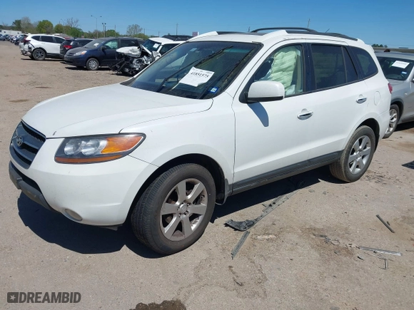 2009 Hyundai Santa Fe SE with VIN 5NMSH13E09H265061, listed as a IAAI auction lot 41851575 with 136,460 mi miles. Bid and sale history available at carsss.com. Image 17.