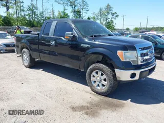 2013 Ford F-150 XL with VIN 1FTFX1EF4DFE09064, listed as a IAAI auction lot 42019665 with 249,430 mi miles. Bid and sale history available at carsss.com. Image 1.