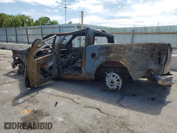 2009 Ford F-150 XL with VIN 1FTRW14869FB28507, listed as a Copart auction lot 57988205 with Not provided miles and Non repairable. Bid and sale history available at DreamBid. Image 2.