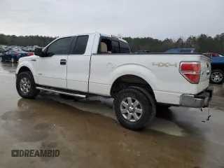 2013 Ford F-150 XL with VIN 1FTFX1ET9DFA03464, listed as a Copart auction lot 48039815 with 256,940 mi miles and Salvage Title. Bid and sale history available at carsss.com. Image 2.