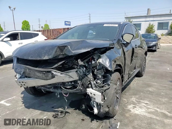 2024 Lexus NX 250 with VIN 2T2ADCAZ9RC012170, listed as a Copart auction lot 54069385 with 19,400 mi miles and Salvage title. Bid and sale history available at DreamBid. Image 14.