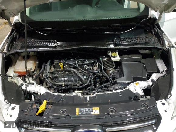 2014 Ford Escape SE with VIN 1FMCU9GX7EUB50417, listed as a Copart auction lot 44676985 with 123,539 mi miles and Clean Title. Bid and sale history available at DreamBid. Image 12.