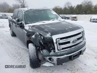 2013 Ford F-150 with VIN 1FTVW1EF4DKE07465, listed as a IAAI auction lot 41601235 with 131,721 mi miles and . Bid and sale history available at DreamBid. Image 1.