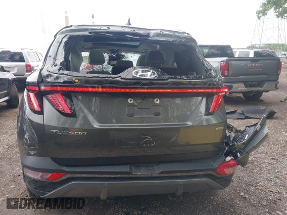 2023 Hyundai Tucson Limited с VIN 5NMJECAE5PH195525, выставлен на аукционе IAAI как лот 42328115 с пробегом 21 778 миль миль и . История ставок и продаж доступна на DreamBid. Изображение 17.