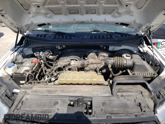 2019 Ford F-150 XL z VIN 1FTEX1CB5KKE89247, wystawiony jako Copart lot #48970685 z przebiegiem 194 936 mil mil oraz Szkoda całkowita • Salvage title. Historia ofert i sprzedaży dostępna na DreamBid. Obrazek 13.