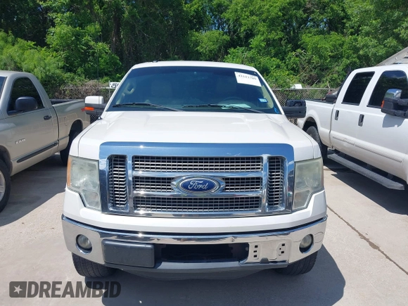 2011 Ford F-150 XLT with VIN 1FTFW1CT7BFA59275, listed as a IAAI auction lot 42111709 with 203,718 mi miles. Bid and sale history available at carsss.com. Image 6.