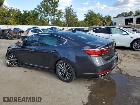 2017 Kia Cadenza Premium with VIN KNALC4J19H5046778, listed as a Copart auction lot 73368674 with 134,039 mi miles and Salvage Title. Bid and sale history available at carsss.com. Image 2.