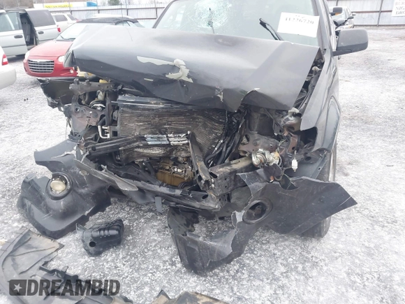 2011 Ford Escape XLT with VIN 1FMCU0D71BKA19572, listed as a IAAI auction lot 41226720 with 1 mi miles. Bid and sale history available at carsss.com. Image 6.