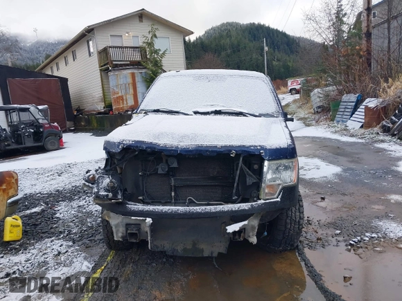 2010 Ford F-150 XL with VIN 1FTFW1EV7AFB50429, listed as a IAAI auction lot 40956419 with 1 mi miles. Bid and sale history available at carsss.com. Image 9.