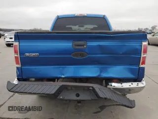 2009 Ford F-150 XL with VIN 1FTRW12899FA26850, listed as a Copart auction lot 44053435 with 163,491 mi miles and Salvage Title. Bid and sale history available at carsss.com. Image 6.
