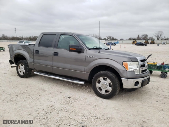 2013 Ford F-150 XL with VIN 1FTEW1CM5DFC29074, listed as a Copart auction lot 48265805 with 171,912 mi miles and Salvage Title. Bid and sale history available at carsss.com. Image 4.