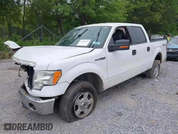 2014 Ford F-150 XL with VIN 1FTFW1EF3EFC43480, listed as a IAAI auction lot 42582431 with 134,382 mi miles and . Bid and sale history available at DreamBid. Image 17.