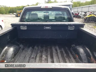 2013 Ford F-150 XL with VIN 1FTMF1CM7DFD51544, listed as a Copart auction lot 58138115 with 284,893 mi miles and Clean title. Bid and sale history available at DreamBid. Image 10.
