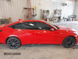 2021 Cadillac CT5 V-Series with VIN 1G6DV5RW9M0136210, listed as a IAAI auction lot 42571132 with 16,941 mi miles and . Bid and sale history available at DreamBid. Image 13.