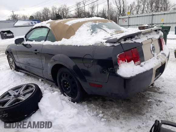 2009 Ford Mustang with VIN 1ZVHT84N395121827, listed as a Copart auction lot 41651645 with 117,203 mi miles and Clean title. Bid and sale history available at DreamBid. Image 2.