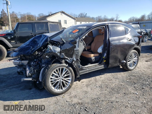 2023 Lexus NX with VIN 2T2HGCEZ1PC019322, listed as a Copart auction lot 82675903 with 0 mi miles. Bid and sale history available at carsss.com. Image 1.