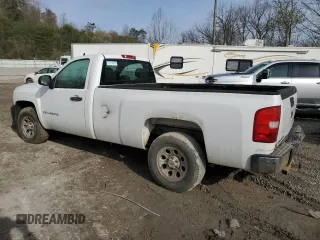 2009 Chevrolet Silverado 1500 Work Truck with VIN 1GCEC14X19Z225725, listed as a Copart auction lot 51499965 with Not Provided miles and Salvage Title. Bid and sale history available at DreamBid. Image 2.