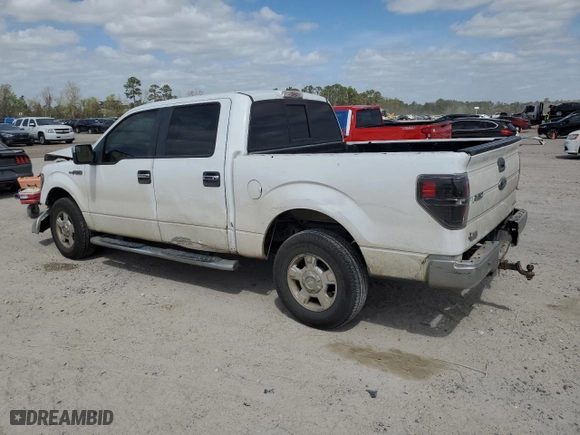 2013 Ford F-150 XL with VIN 1FTEW1CM0DKE02037, listed as a Copart auction lot 49482885 with 419,465 mi miles and Salvage Title. Bid and sale history available at carsss.com. Image 2.