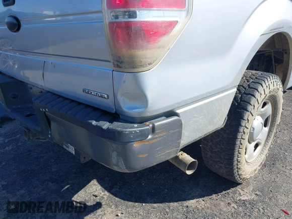 2011 Ford F-150 XL with VIN 1FTMF1EF2BFC59916, listed as a IAAI auction lot 41653525 with 118,632 mi miles and . Bid and sale history available at DreamBid. Image 13.