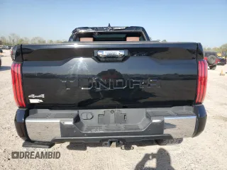 2022 Toyota Tundra 1794 Edition with VIN 5TFMA5DB2NX033703, listed as a Copart auction lot 47841975 with 48,755 mi miles and Salvage title. Bid and sale history available at DreamBid. Image 6.
